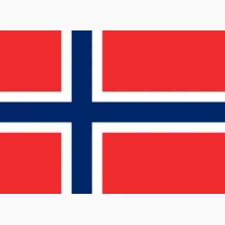 Преподаю норвежский язык