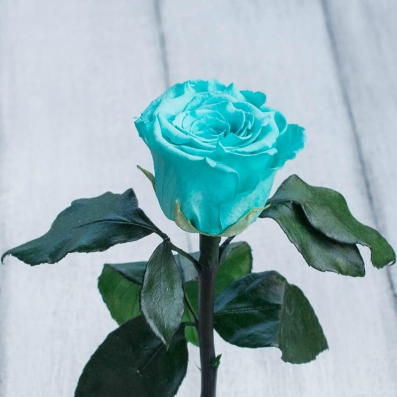 Отличный подарок к 8 марта Невянущие розы в колбе Lerosh – Mini 27 см, Бирюзовая