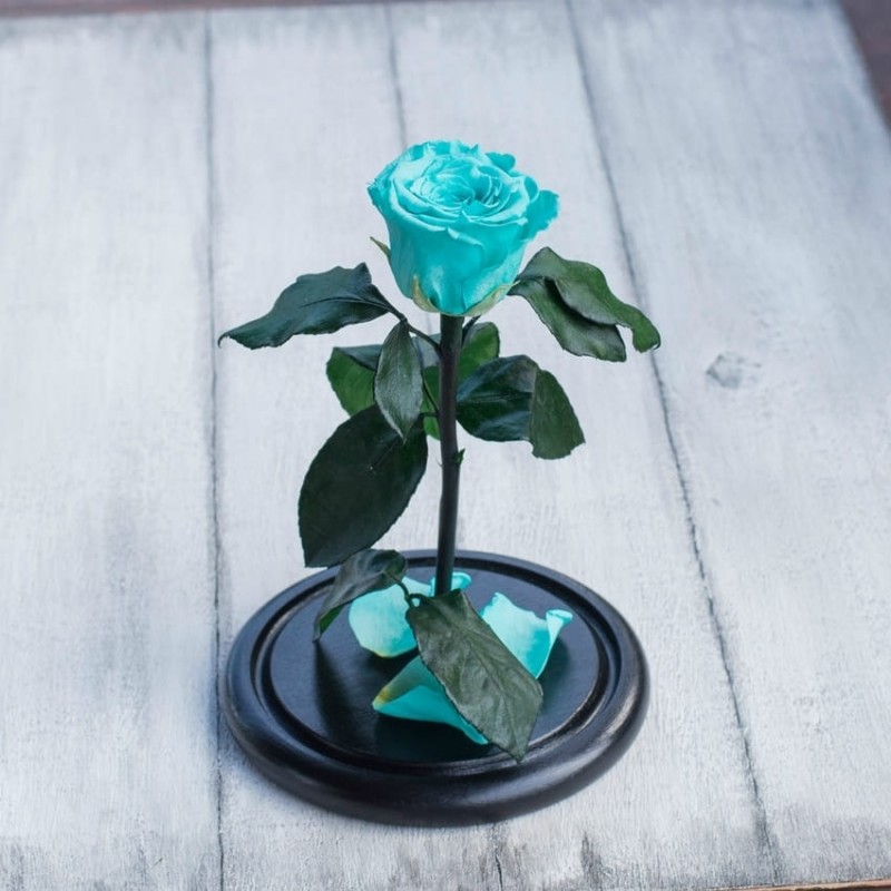 Фото 2. Отличный подарок к 8 марта Невянущие розы в колбе Lerosh – Mini 27 см, Бирюзовая
