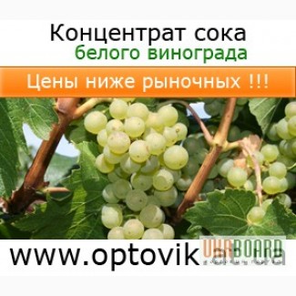 Концентрат сока белого винограда