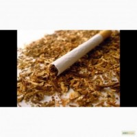 Табак Бёрли, Вирджиния, бленды