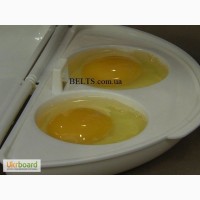 Украина.Омлетница Egg and Omelet Wave, омлет в микроволновой печи