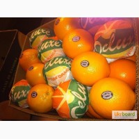 Апельсины из Пакистана, Египта. Прямые поставки