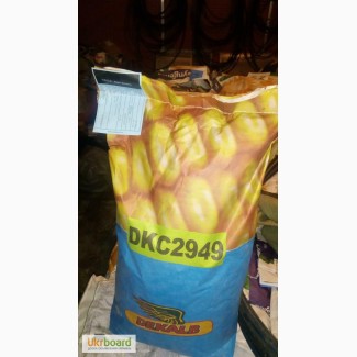 Семена кукурузы Monsanto Dekalb (Монсанто). Оригинал 100%