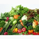 Продам оптом и в розницу сортовые семена овощей, зелени и бахчевых