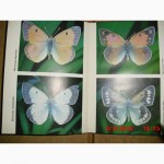 Книга о бабочках