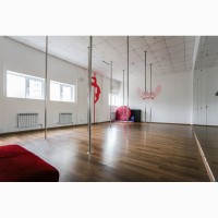 Pole dance studio Pink Heaven Новобеличи