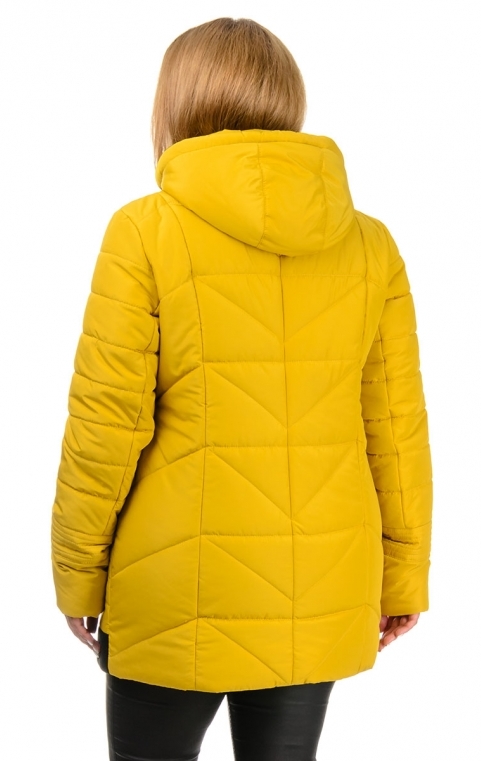 Фото 4. Демисезонная куртка Виктория, размеры 50-58 цвета разные-D224