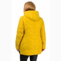 Демисезонная куртка Виктория, размеры 50-58 цвета разные-D224