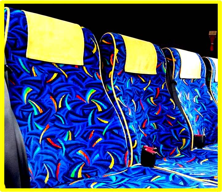 Фото 5. Автобусная ткань Неоплан на ковровой основе купить
