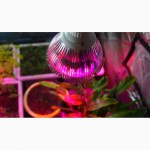 Фитолампа для подсветки растений 27Вт