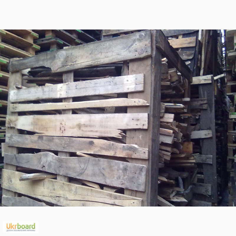Фото 3. Продам дрова сухие в Броварах