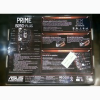 Asus Prime B250-Plus (Новая)