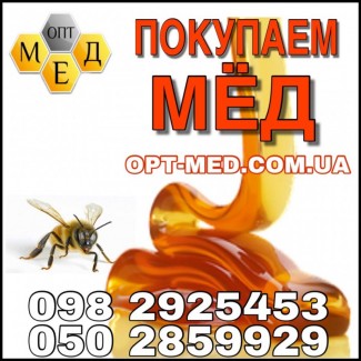 Закупка меда в Кировоградской обл ОПТ-МЕД