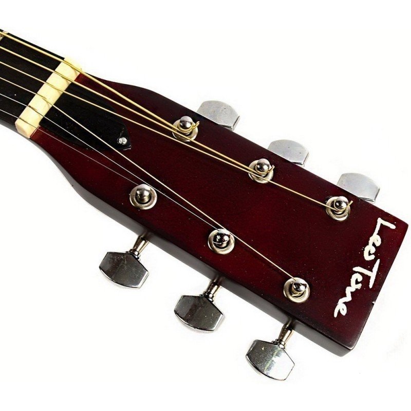 Фото 12. Акустическая гитара Trembita Leoton L-01