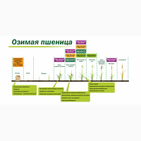 Микроудобрение КДМПР «Мальхам» марки Бор