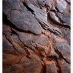 Рельеф #Штамп на стене #фактура камня, #имитация скалы