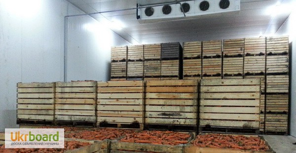 Фото 11. Овощные холодильные камеры в Крыму с установкой.Сервис 24 ч