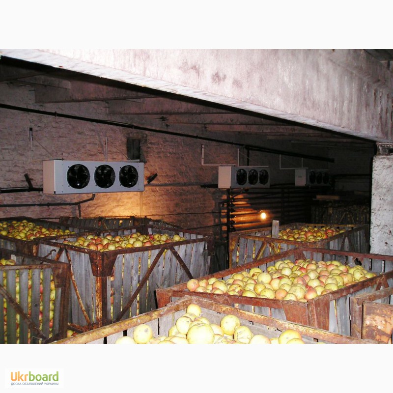 Фото 17. Овощные холодильные камеры в Крыму с установкой.Сервис 24 ч