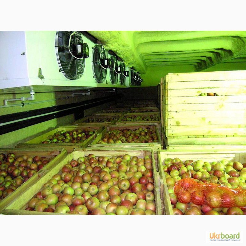 Фото 5. Овощные холодильные камеры в Крыму с установкой.Сервис 24 ч