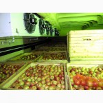 Овощные холодильные камеры в Крыму с установкой.Сервис 24 ч