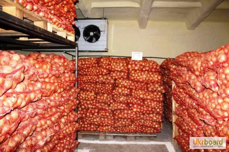 Фото 8. Овощные холодильные камеры в Крыму с установкой.Сервис 24 ч