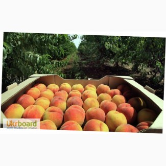 Ящики для персиков