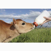 ЗЦМ для телят, сухое молоко, сыворотка корм