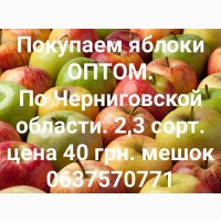 Покупаем яблоки ОПТОМ 40 грн. мешок