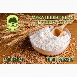 Продам борошно пшеничне