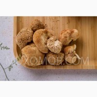 Ежовик гребенчатый ДИКИЙ (Lion#039;s mane) ЦЕЛЫЕ плоды гриба - 50 гр