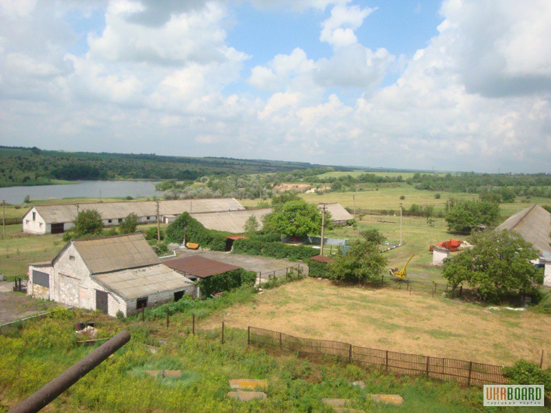 Продам ферму в Криничанском районе