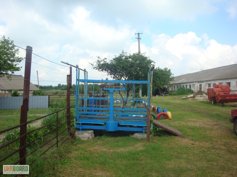 Фото 2. Продам ферму в Криничанском районе