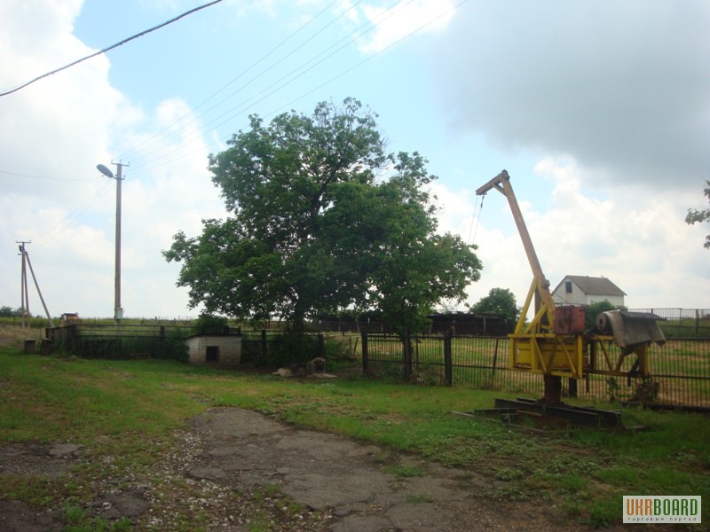 Фото 3. Продам ферму в Криничанском районе