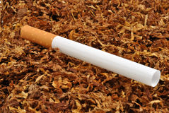 Табак Virginia, Berli, отличное качество, опт розница