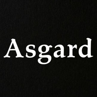 Центр защиты и безопасности Asgard