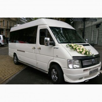 Заказ микроавтобуса на свадьбу, аренда автобуса Одесса