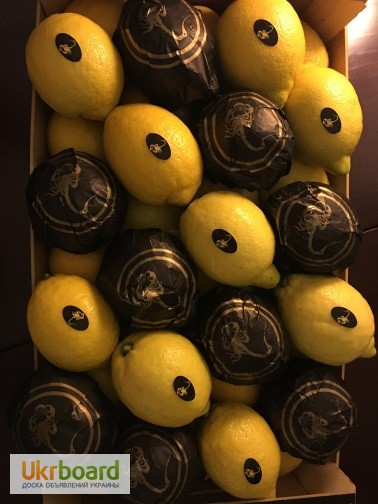 Фото 9. Продаем Лимон Испания