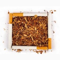 Продаю качественный тютюн на развес разной крепости-Берли Вирджиния Махорка