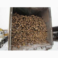 Продам дрова колотые и не колотые с доставкой