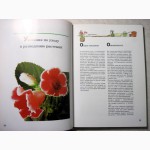 Гельмут Янтра Комнатные растения. 365 советов Burda Виды, Уход, выращивание, болезни, хара