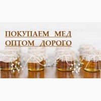 Закуповуємо мед оптом без антибіотиків по Черкаській, Кіровоградській обл
