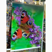 Настенный обогреватель-картина Shine Бабочка 84x60 см Карбоновый обогреватель-картина