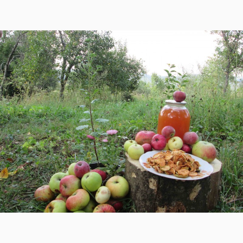 Фото 10. Сок яблочный домашний с горного сада Карпат