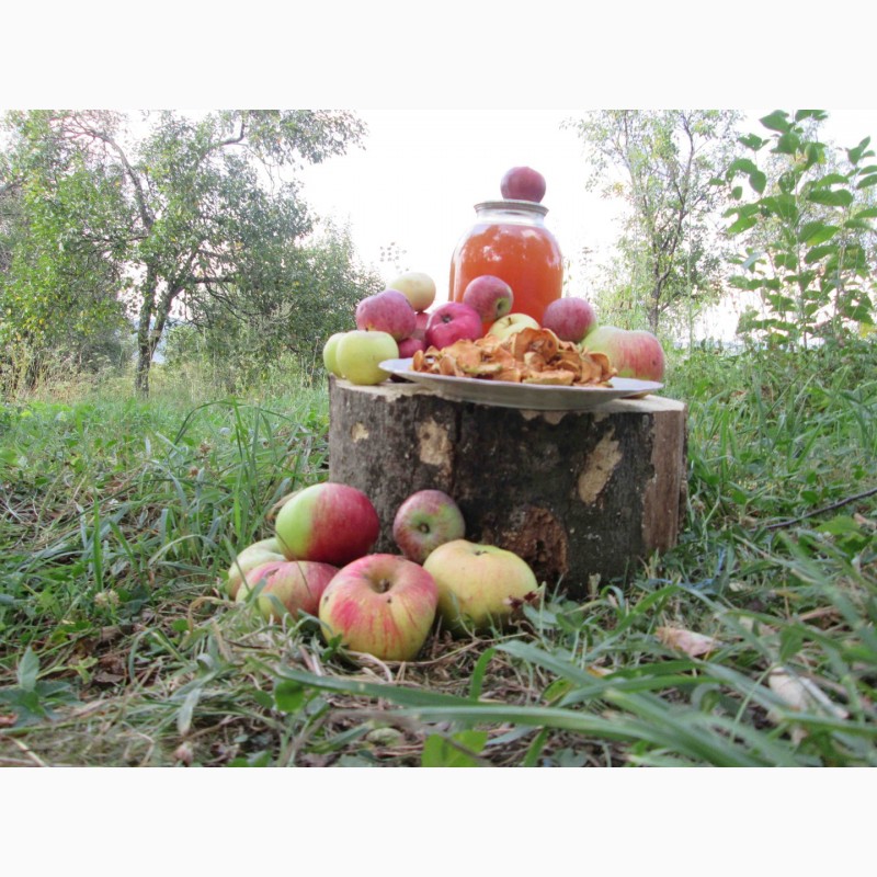 Фото 4. Сок яблочный домашний с горного сада Карпат