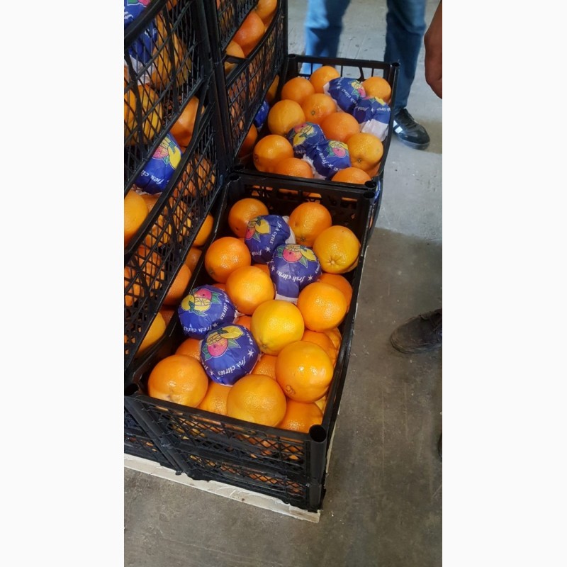 Фото 2. Мандарины, апельсины, лимоны___ ОПТ не дорого__в Турции