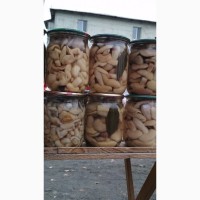 Продам маринованные грибы