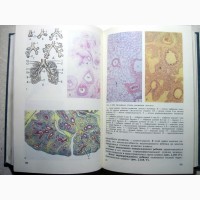 Гистология цитология и эмбриология Атлас Учебное пособие 1996 самостоятельного изучения
