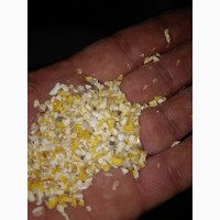 Продам зерновідходи та побічний продукт кукурудзи