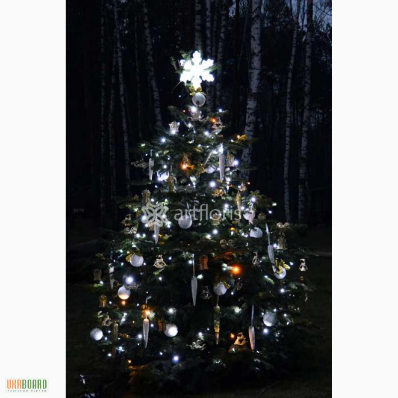 Фото 3. Праздничная иллюминация, световое оформление домов, елки, деревьев от ТМ Артфлорис